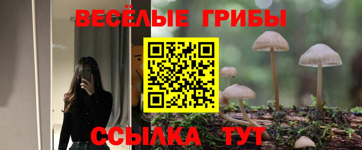 Псилоцибиновые грибы мухоморы Ртищево