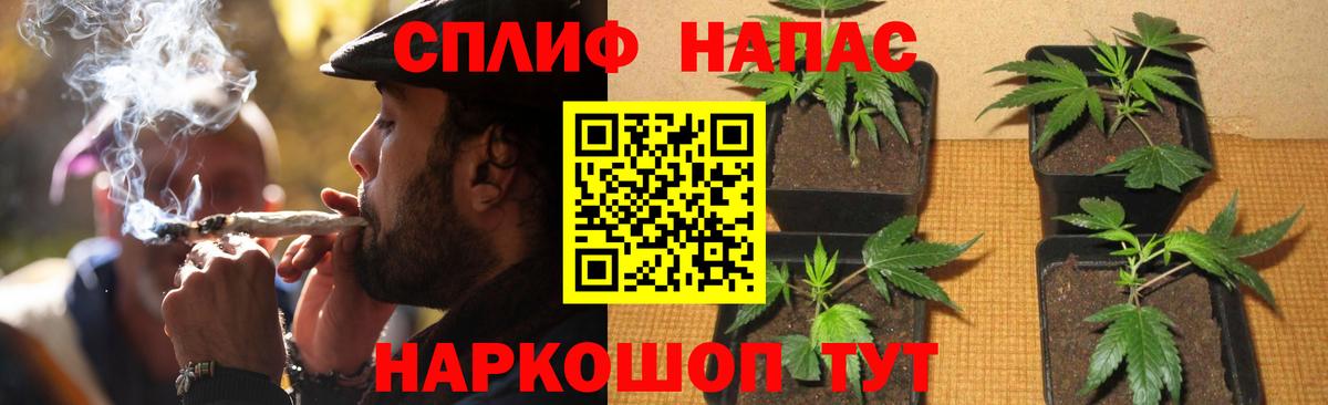 Бошки марихуана ГИДРОПОН  Бошки марихуана гибрид  Вход с VPN  Канабис семена  Ртищево 